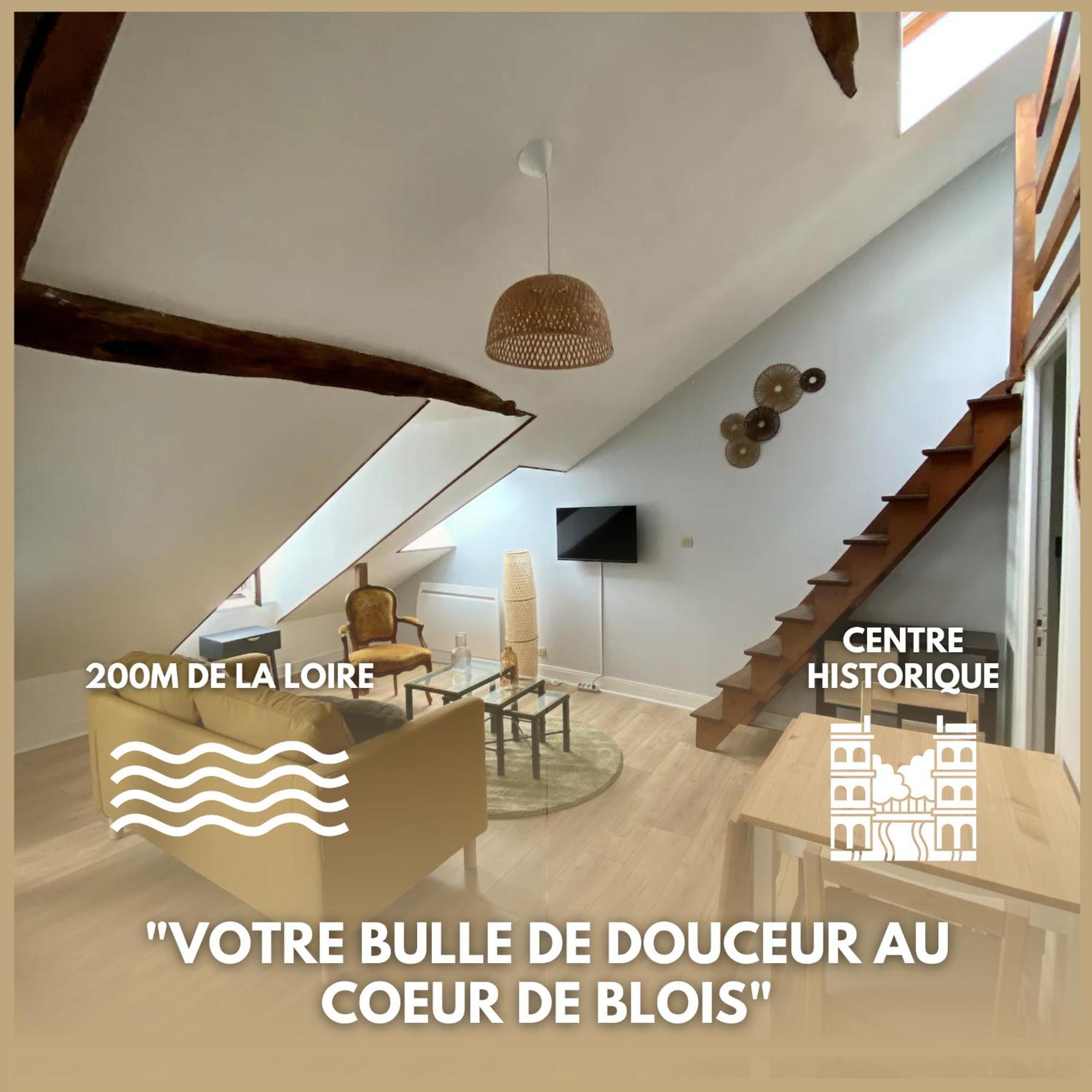 Le Cocon - Appartement En Hyper Centre Blois Extérieur photo